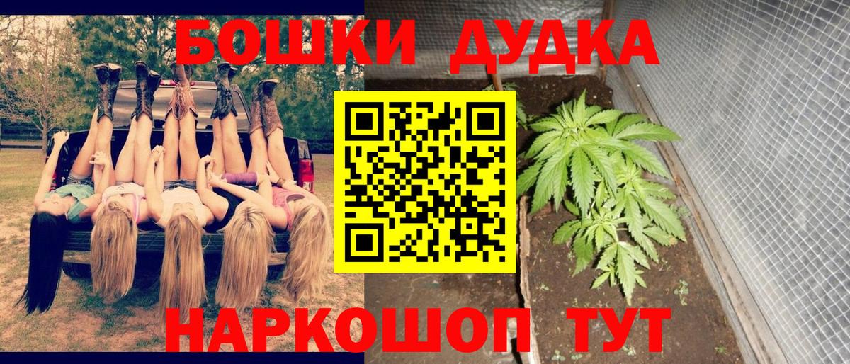 Канабис семена Владикавказ